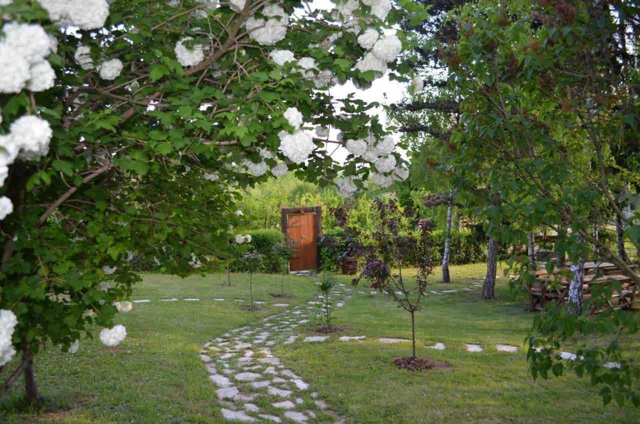 Vila Davidovic-Fruska Gora Mandelos Exterior foto