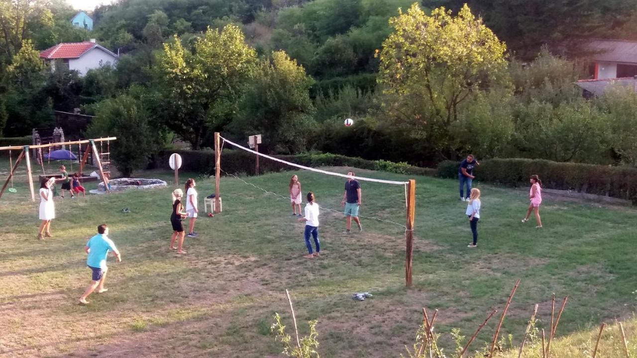 Vila Davidovic-Fruska Gora Mandelos Exterior foto