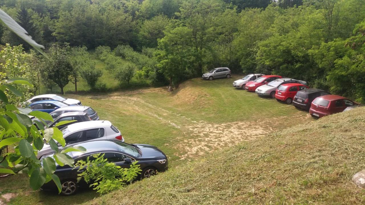 Vila Davidovic-Fruska Gora Mandelos Exterior foto