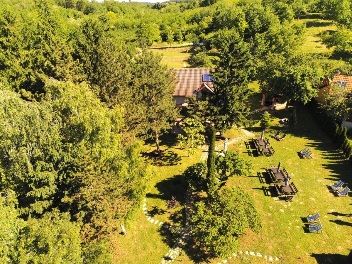 Vila Davidovic-Fruska Gora Mandelos Exterior foto