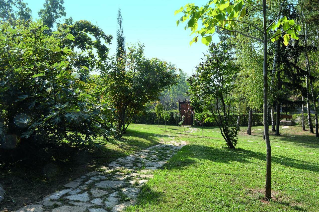 Vila Davidovic-Fruska Gora Mandelos Exterior foto