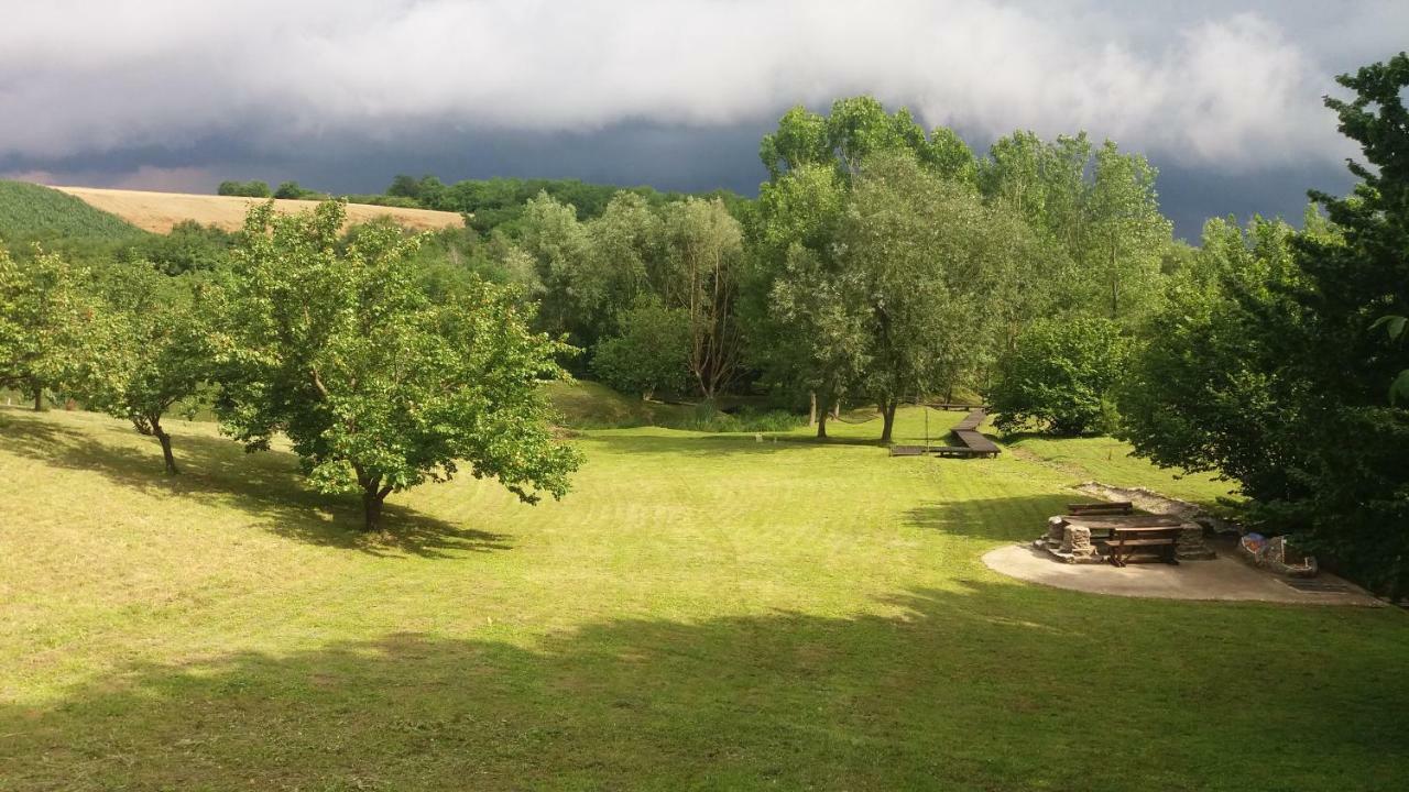 Vila Davidovic-Fruska Gora Mandelos Exterior foto